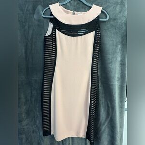 Belle Badgley Mischa size 8 dress, new with tags